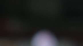 Ricardo Ferretti renovó contrato con los Tigres de la UANL. (Foto: Imago7/Marcos Domínguez)