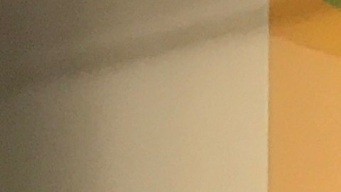 Concejales debatieron en Queens sus ideas buscando la Presidencia del Concejo Municipal