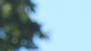 De nada sirvió la presión de políticos y activistas para frenar la decisión del gobierno Trump