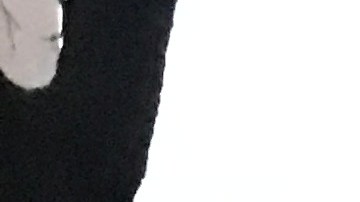 Elecciones Nueva York