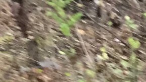 El personal del WHCP tiene un programa mediante el cual acuden a lugares públicos a recoger jeringas usadas por adictos a la heroína.
Durante un recorrido realizado con EL DIARIO, los voluntarios del WHCP recolectaron más de 24 jeringas usadas y desechadas detrás de unos matorrales debajo de un puente del área.