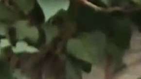 Le preguntaron a Julián Gil sobre la separación de Geraldine Bazán y Gabriel Soto