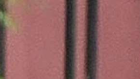 Maxwell ha sido relacionada con la actriz de ‘Twilight’ desde la Met Gala del 2016.