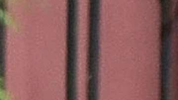 Maxwell ha sido relacionada con la actriz de ‘Twilight’ desde la Met Gala del 2016.