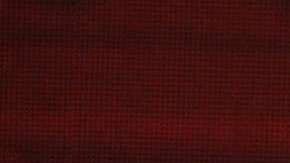 La presentadora de televisión, Laura Bozzo, quiere aclarar un asunto