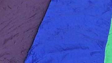 Laura Zapata se pronuncia en contra de la comunidad gay