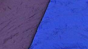 Laura Zapata se pronuncia en contra de la comunidad gay