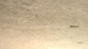 Julio Zamora, exfutbolista de Cruz Azul y técnico del Real Potosí de Bolivia