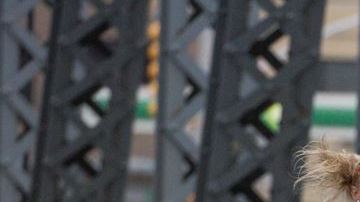 NO REUSAR EN OTRO ARTICULO