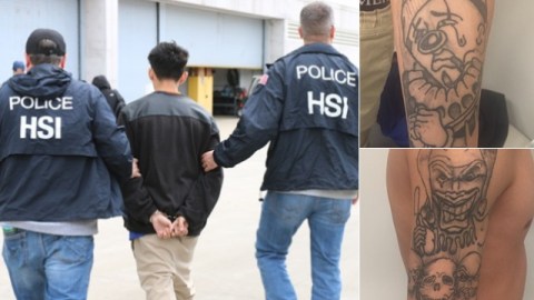 El operativo "Matador" se enfocó en Long Island.