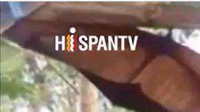 Este murciélago pertenece a la especie de zorro volador de corona dorada gigante.