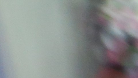 Olga Serra, 70, una inmigrante desamparada.