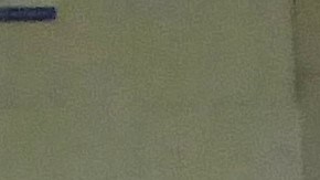 ‘Orange Friday’ ayuda a saciar el hambre de cientos en Harlem.