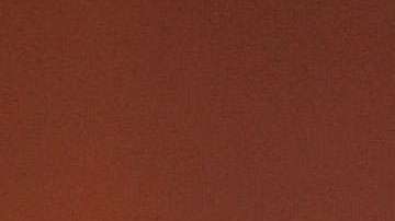 Pablo Montero, cantante mexicano.