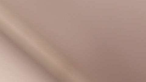 Paulina Rubio durante la entrega de los Premios Grammy 2017