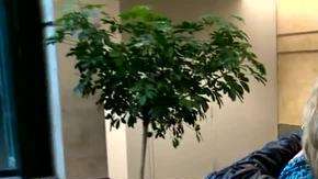 Yvonne Betowt y Mary Richardson, dos amigas que por fin se conocen después de 51 años.