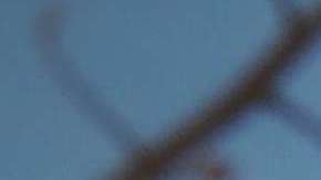 Depende de signo que seas, es la actividad física que te gusta.