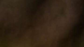 La gratitud nos obliga a ser más humildes porque quita el enfoque de nosotros.