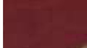 Craig Hamilton-Parker habló sobre lo que le espera al presidente estadounidense Donald Trump y al líder norcoreano Kim Jong-un.