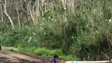 La gestión de desastres naturales,  no incluye fondos directos para Puerto Rico