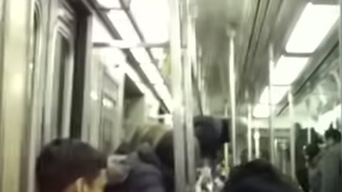 Hombres y mujeres encima de los asientos por temor a la rata.