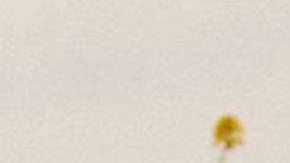 Kendall tuvo un pequeño altercado con Bella Hadid.