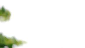 Ana Belena protagoniza la telenovela "Sangre de mi Tierra"