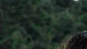 Claudia Martín y Osvaldo de León protagonizan la telenovela "Sin tu mirada"