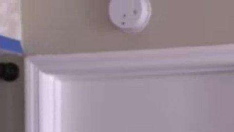 Ryan Boylan de Clearwater Beach, Florida y su mascota de soporte emocional, una ardilla llamada Brutis.