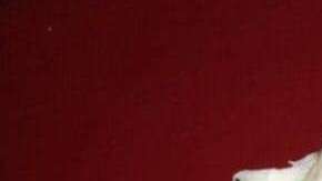 Queso crema es uno de los ingredientes utilizado en el té de queso.