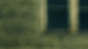 Ahora las gallinas dejarán de ser el desayuno.