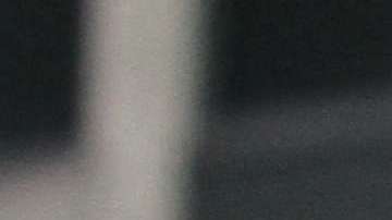 En riesgo el futuro de los inmigrantes protegidos por el TPS (Mariela Lombard/EDNY)