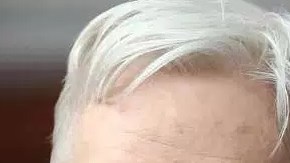 Donald Trump Jr. mantuvo comunicación con una cuenta oficial de Wikileaks, de Julian Assange.