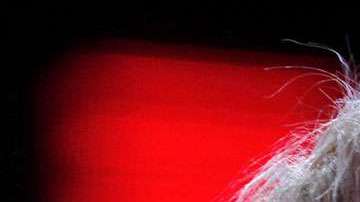 Yuri, cantante mexicana.