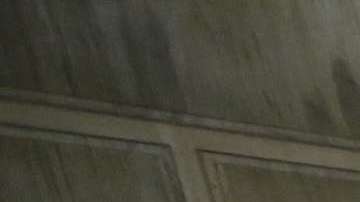 Aurelia Ventura/ La Opinión