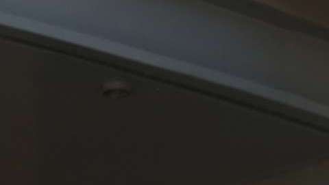 Activistas, organizaciones y otros líderes piden al gobierno de Trump que se extienda el programa TPS.