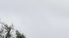 "La vida es cambio constante y la muerte es un cambio más", dice Frank Ostaseski. Aurelia Ventura/ La Opinión