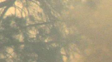 El devastador incendio Creek en San Fernando. Aurelia Ventura/ La Opinion