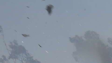 El incendio Creek en el Valle de San Fernando. Aurelia Ventura/ La Opinión