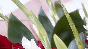 La devoción para la Virgen de Guadalupe es muy grande en Los Ángeles. (Aurelia Ventura/ La Opinión)