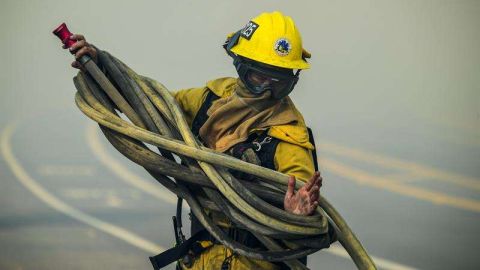 Un estudio comprobó que quienes realizan este trabajo, son más propensos a sufrir esta enfermedad.