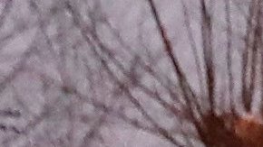 Al menos cinco muertos y 15 heridos en el arrollamiento masivo accidental de este domingo en Moscú.