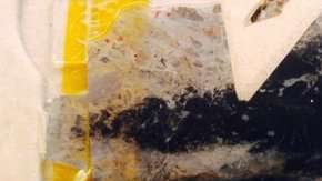 Por medio de estos fósiles se lograron descubrir indicios de vida de hace 3,500 millones de años