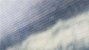 Hay algo que nos hace elegir como amigos a personas similares a nosotros.