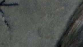 Los herederos de Manson en guerra por sus restos.