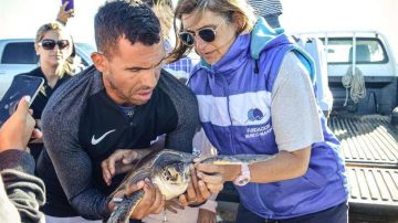 El futbolista argentino Carlos Tevez y la tortuga que liberó en el mar de San Clemente del Tuyú, provincia de Buenos Aires. (Foto: EFE/MUNDO MARINO)