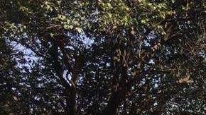 Habitantes fuera de sus hogares después que sonaran alertas en Ciudad de México. EFE