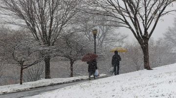 La nieve comenzó a blanquear NY desde las 10 a.m.