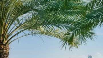 El "oasis tecnológico" de Dubái busca competir con el Valle del Silicio californiano.