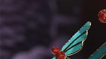 Hasta el momento, Adriana no ha precisado su futuro inmediato.